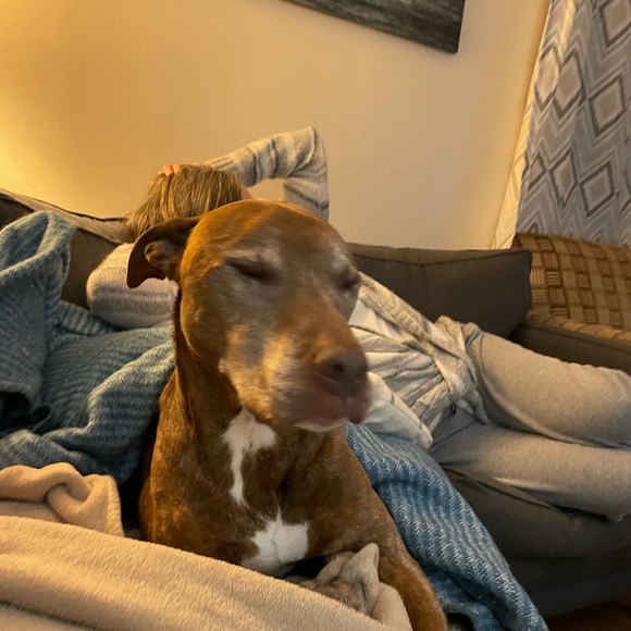 Meet your Posher, Cary - Picture 16 of 16